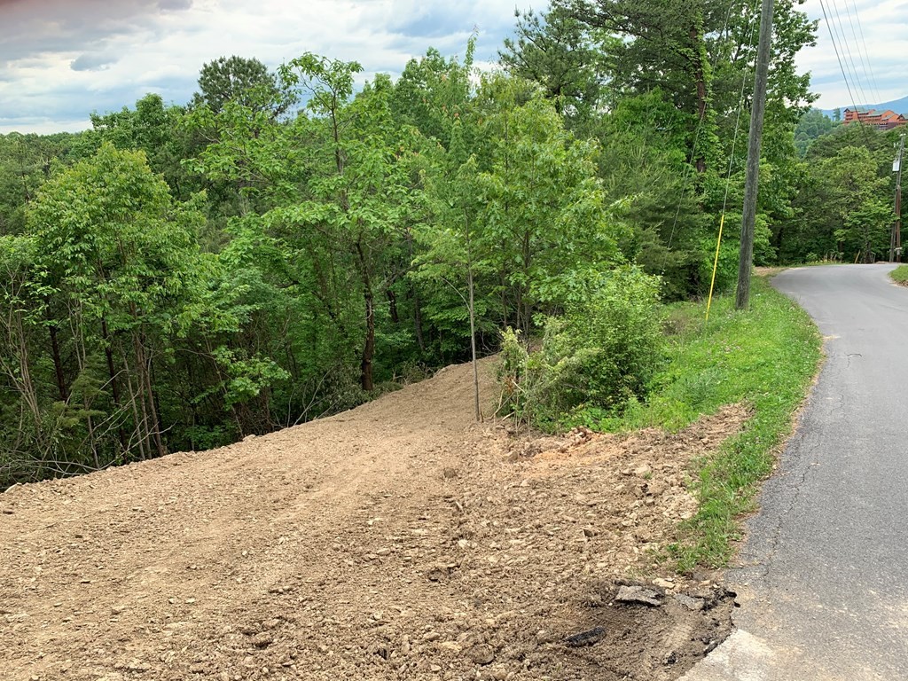 24 Engle Town Road Sevierville, TN 37863 - Photo 3 of 4