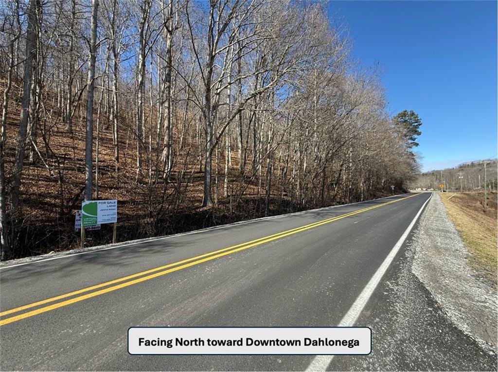 0 Auraria Road Dahlonega, GA 30533 - Photo 11 of 15 a view of a tennis court with plants