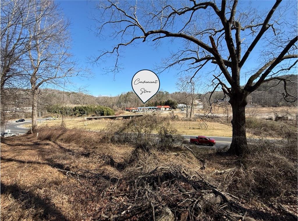 0 Auraria Road Dahlonega, GA 30533 - Photo 10 of 15 a view of a large tree in a yard