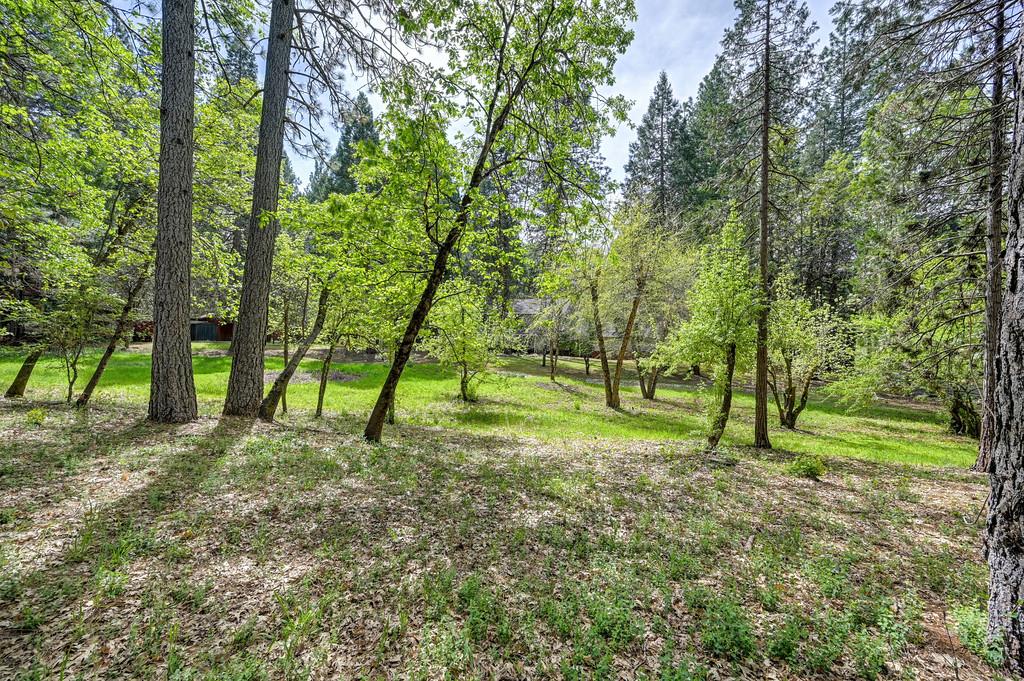 12528 Rattlesnake Road Grass Valley, CA 95945 - Photo 37 of 49