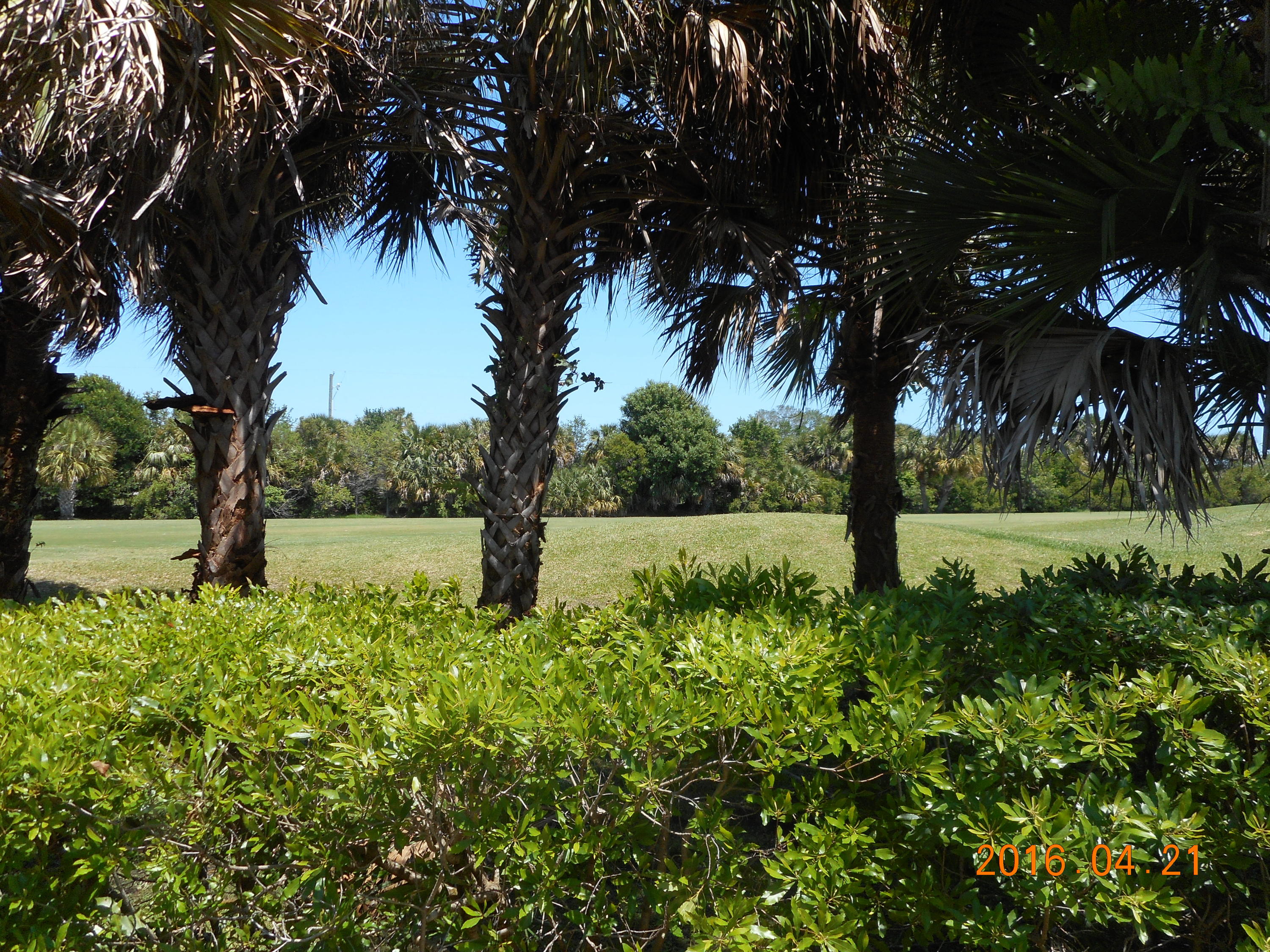 4072 Gator Trace Road Fort Pierce, FL 34982 - Photo 3 of 25 view from lania