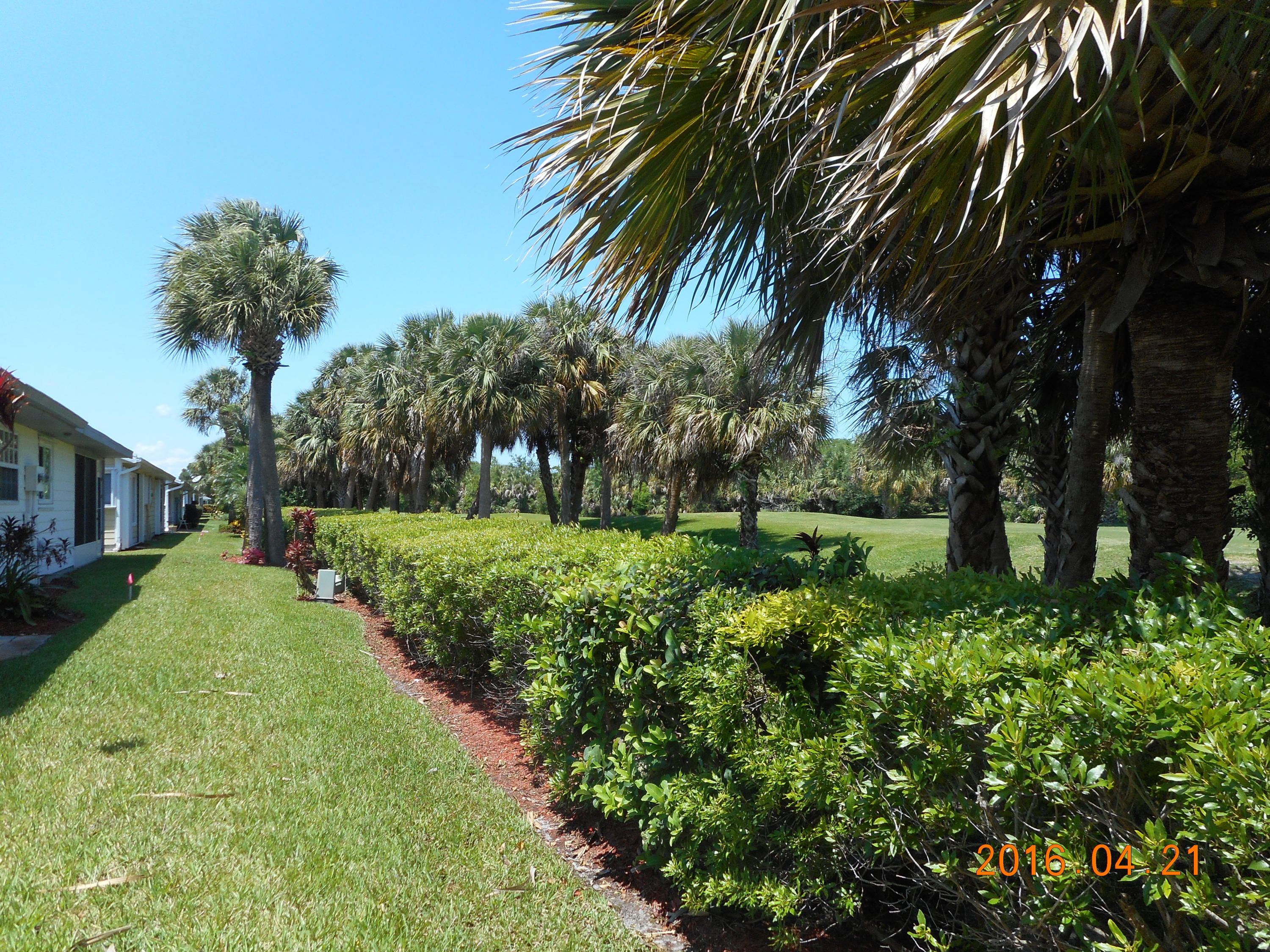 4072 Gator Trace Road Fort Pierce, FL 34982 - Photo 5 of 25 From the back looking north