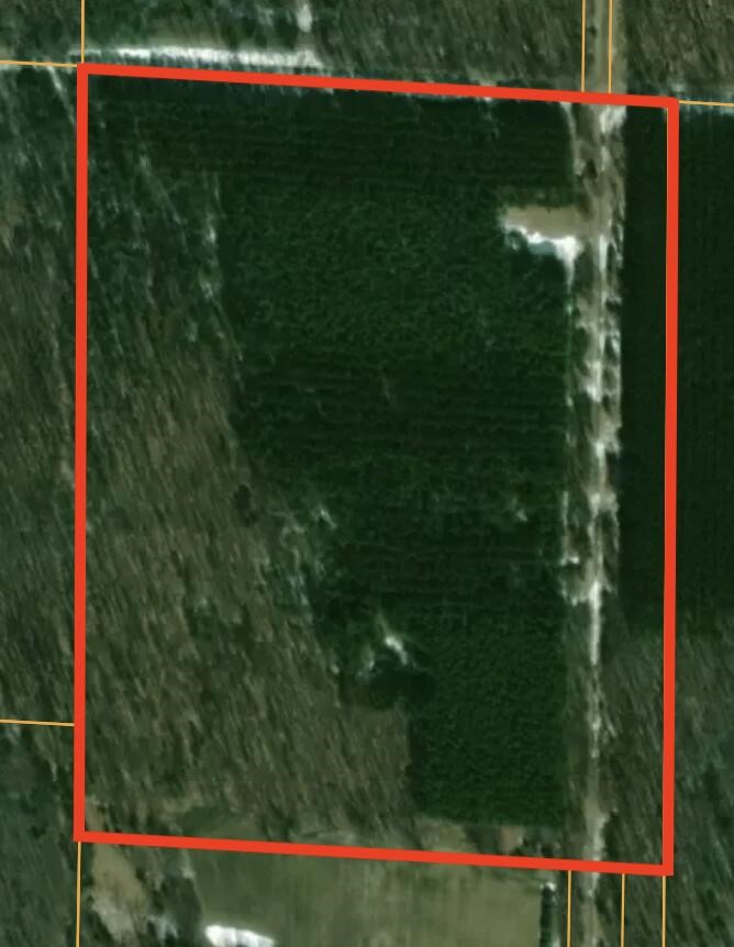 40 West 9 Mile Road Free Soil, MI 49411 - Photo 19 of 20 Gallery Image 19