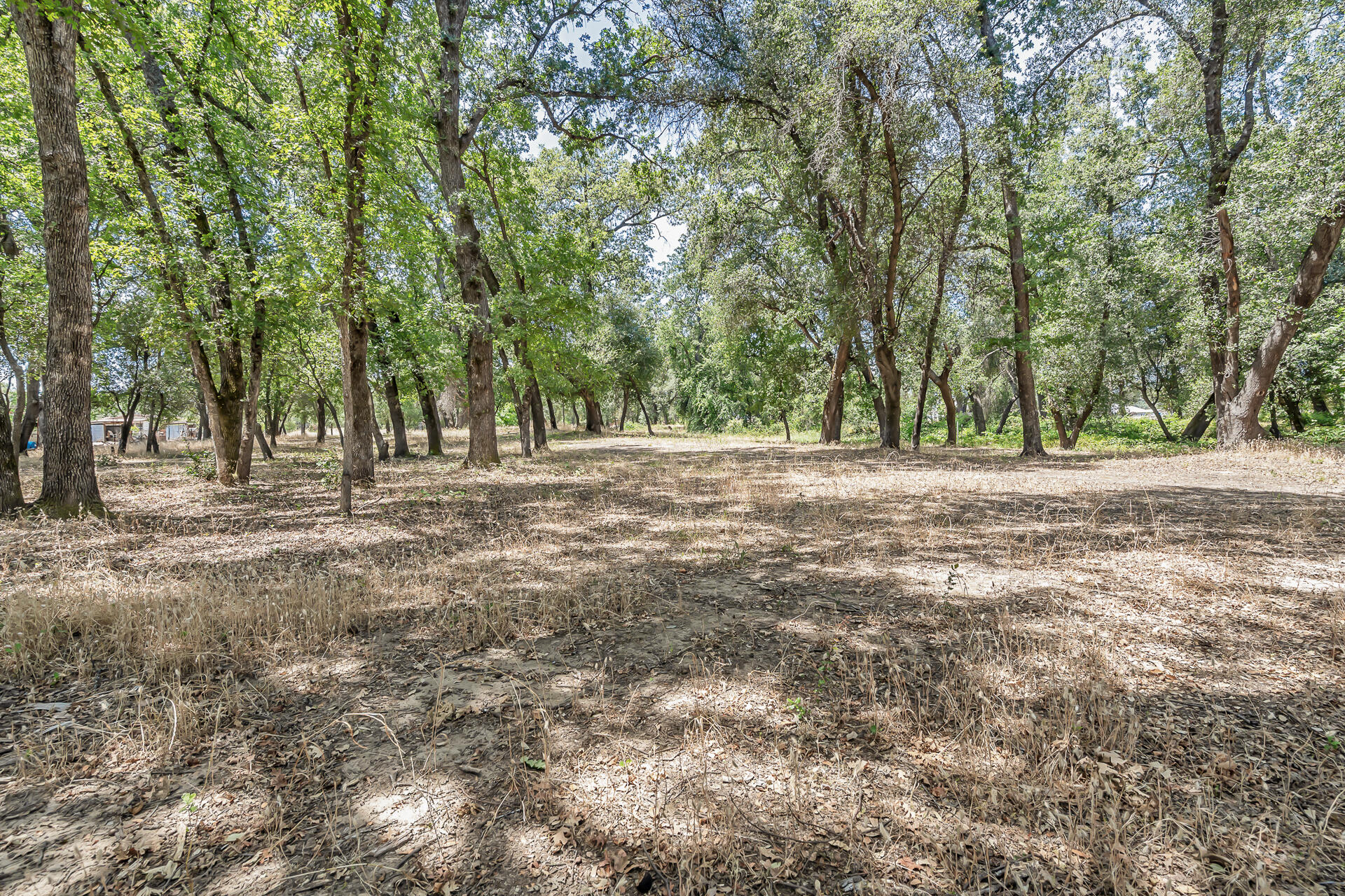 9626 Deschutes Road Palo Cedro, CA 96073 - Photo 57 of 60 9626DeschutesRoad-6