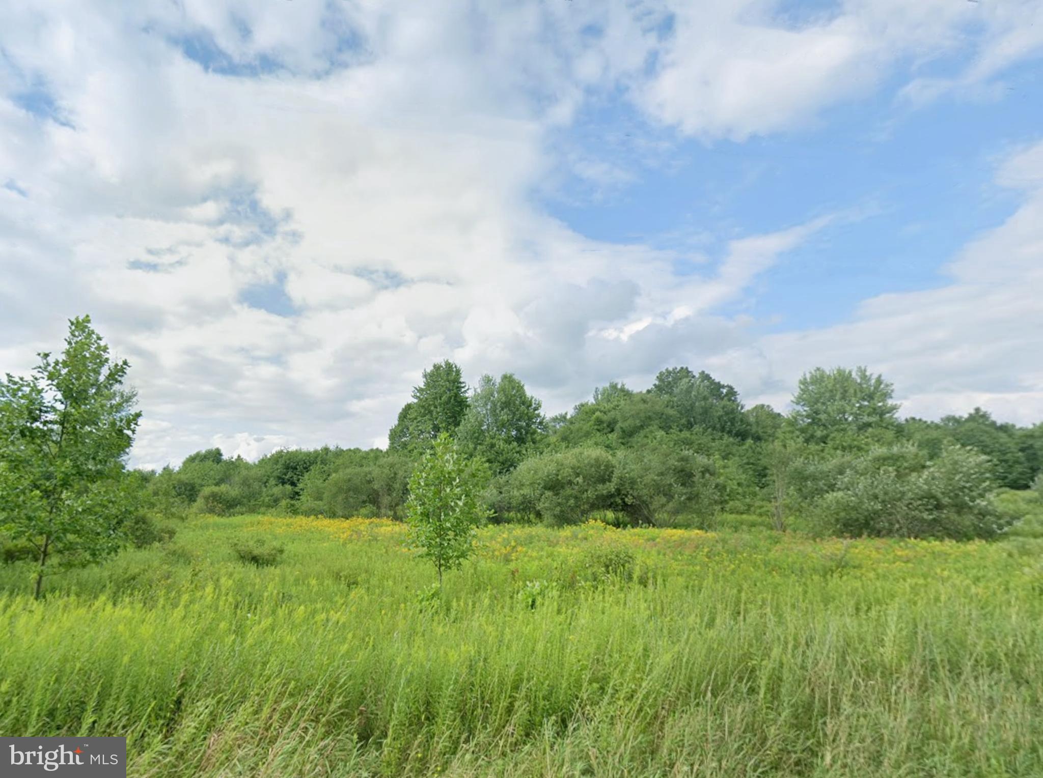 Williams Road Cochranton, PA 16314 - Photo 1 of 12