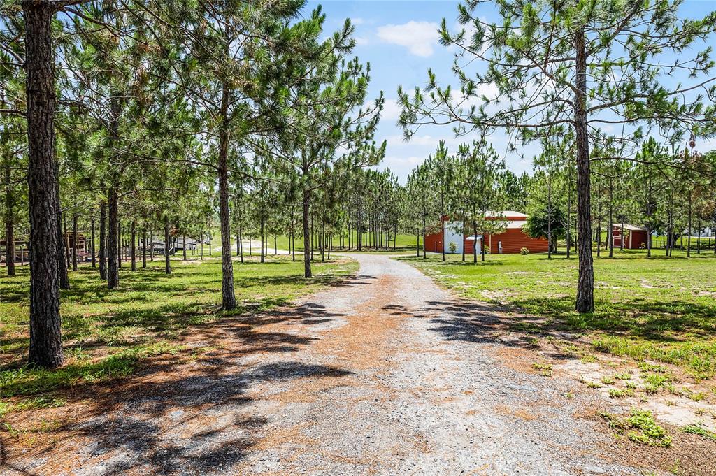 13910 Max Hooks Road Clermont, FL 34711 - Photo 55 of 90