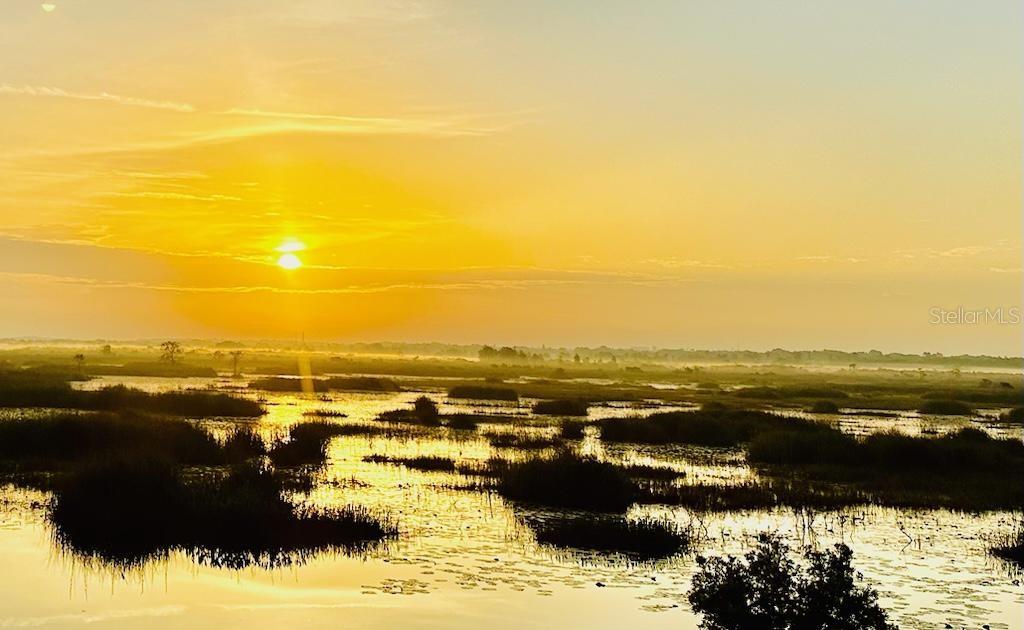 13910 Max Hooks Road Clermont, FL 34711 - Photo 61 of 90