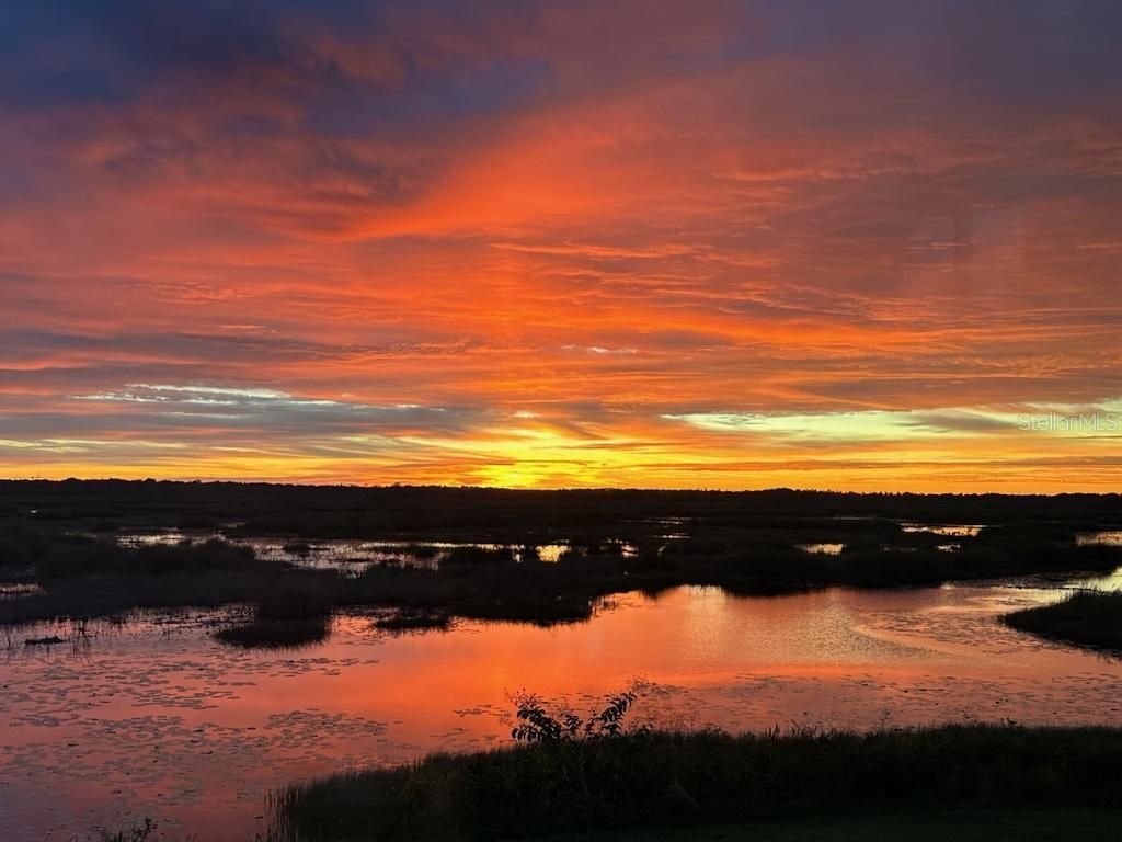 13910 Max Hooks Road Clermont, FL 34711 - Photo 62 of 90