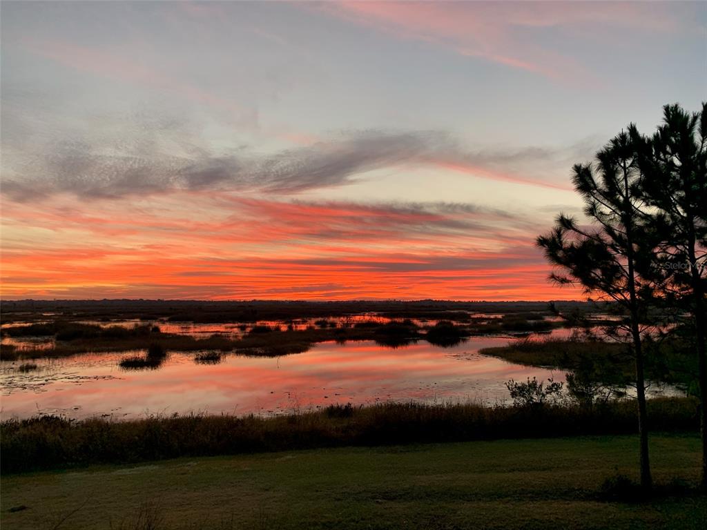 13910 Max Hooks Road Clermont, FL 34711 - Photo 65 of 90