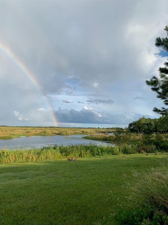 13910 Max Hooks Road Clermont, FL 34711 - Photo 68 of 90