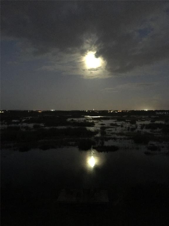 13910 Max Hooks Road Clermont, FL 34711 - Photo 70 of 90