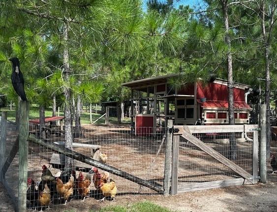 13910 Max Hooks Road Clermont, FL 34711 - Photo 72 of 90