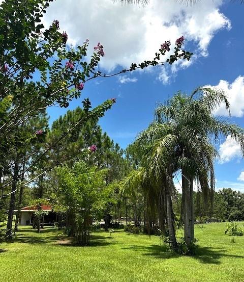 13910 Max Hooks Road Clermont, FL 34711 - Photo 76 of 90