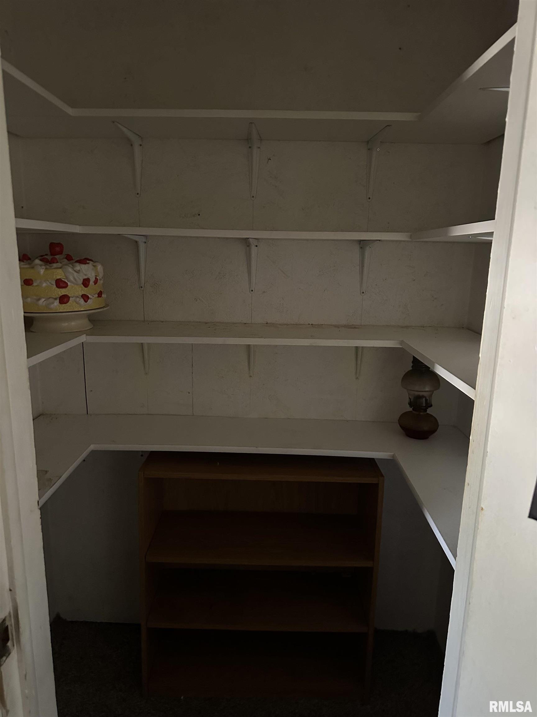 119 Logan Hollow Road Rockwood, IL 62280 - Photo 6 of 10