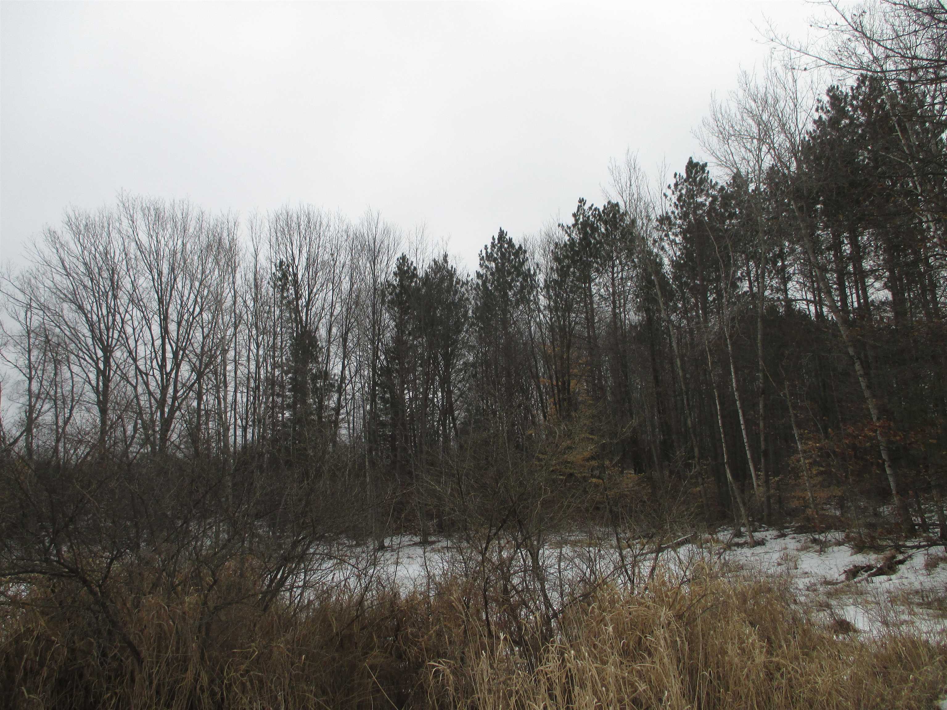 Tbd West Tbd W Remus Road Remus, MI 49340 - Photo 11 of 11 1897555-10.JPG