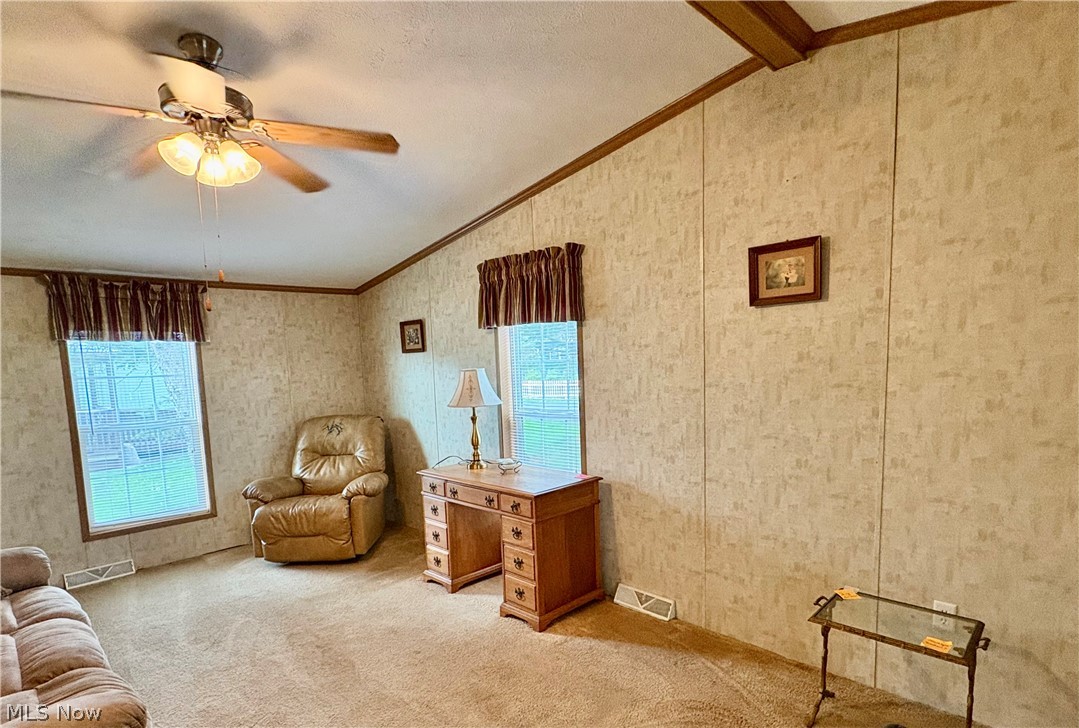 5852 Cleveland Road, Unit 22 Wooster, OH 44691 - Photo 19 of 35 Ceiling Fan. Carpet.