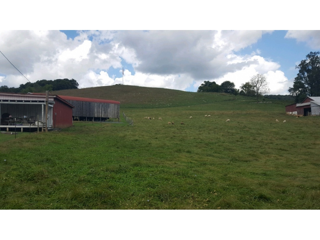 Tbd Webber Road Bristol, TN 37620 - Photo 1 of 1 Photo 1