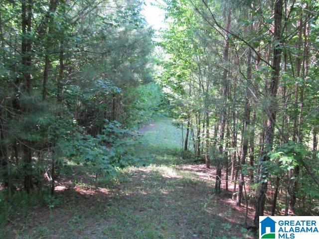 0 Choctaw Trail, Unit 10 Hayden, AL 35079 - Photo 13 of 24