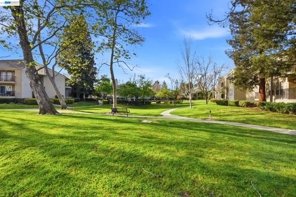 a house view with a backyard