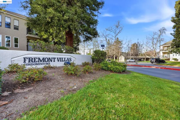 a view of a backyard with a garden