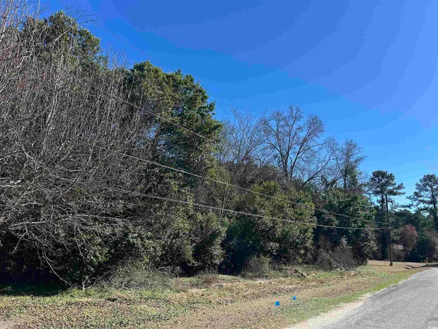 $14,500 | Tbd Legion Drive, Dillon, SC 29536