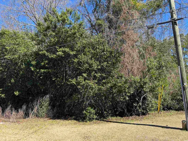 $14,500 | Tbd Legion Drive, Dillon, SC 29536