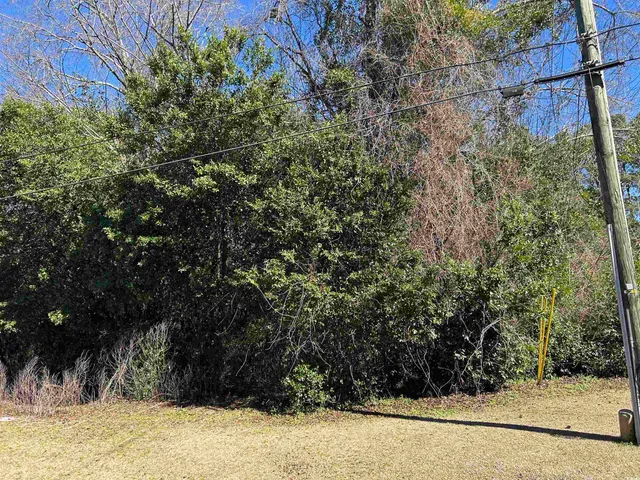 $14,500 | Tbd Legion Drive, Dillon, SC 29536