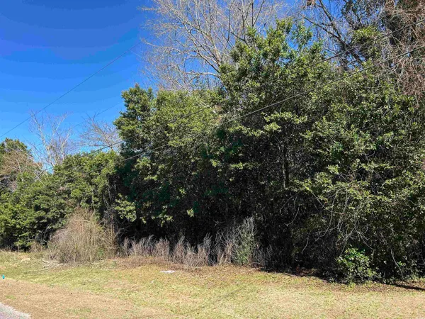 $14,500 | Tbd Legion Drive, Dillon, SC 29536