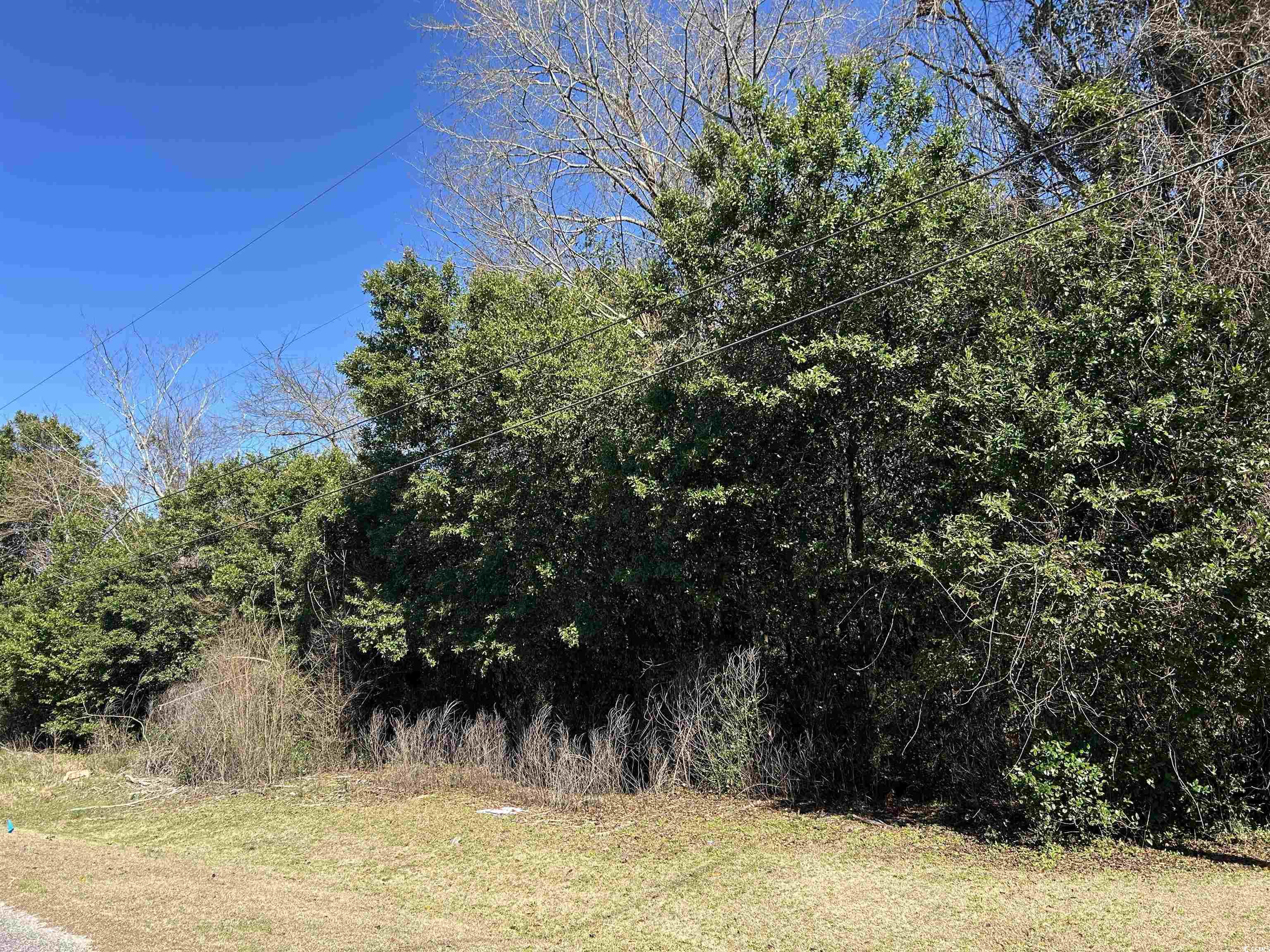 Tbd Legion Drive Dillon, SC 29536 - Photo 5 of 5 View of landscape