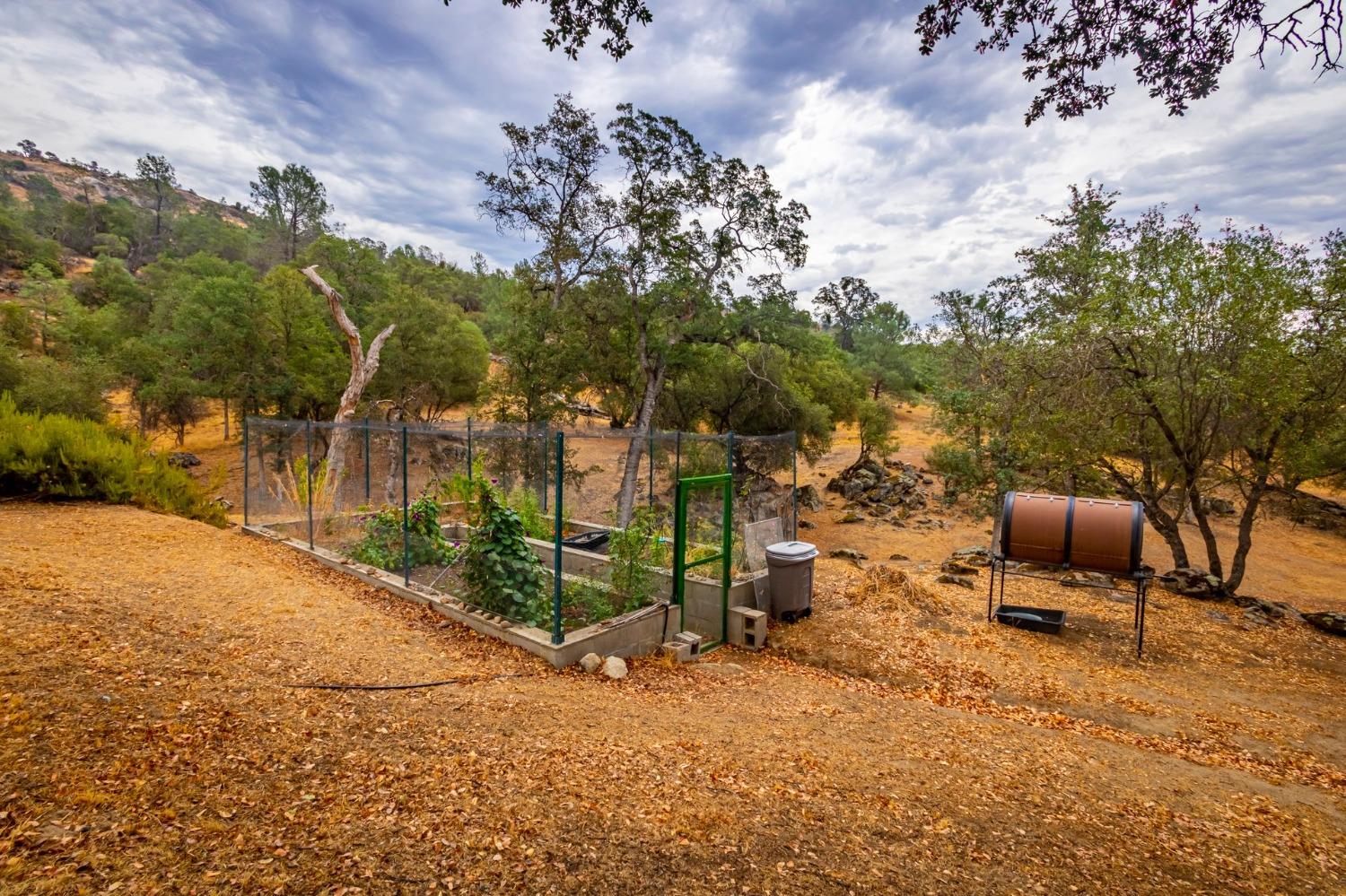 30093 Revis Road Coarsegold, CA 93614 - Photo 36 of 48 Fenced garden area