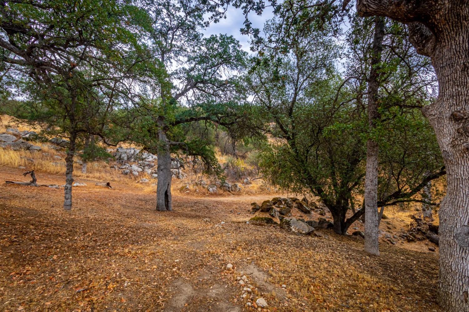30093 Revis Road Coarsegold, CA 93614 - Photo 39 of 48 Gallery Image 39