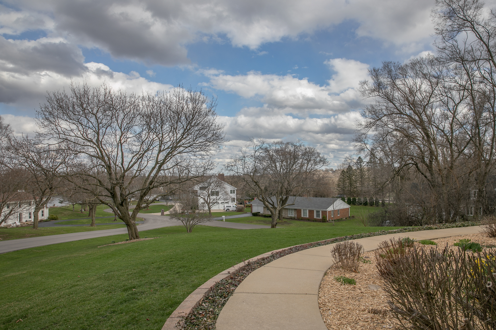 16N560 Sumter Drive Dundee, IL 60118 - Photo 11 of 49 a view of a park with large trees