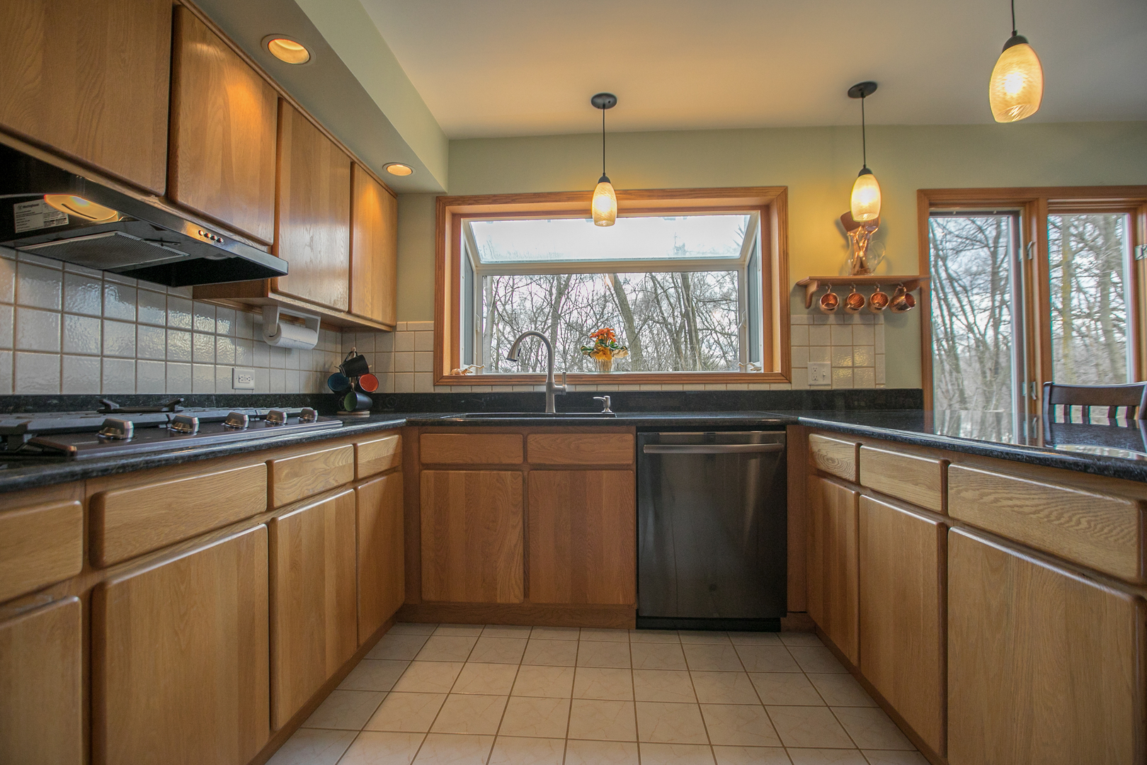 16N560 Sumter Drive Dundee, IL 60118 - Photo 19 of 49 a kitchen with a sink cabinets and window