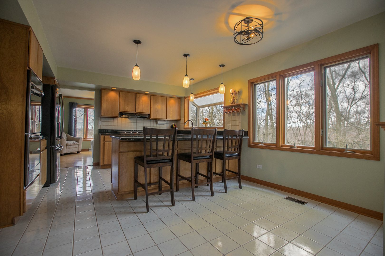 16N560 Sumter Drive Dundee, IL 60118 - Photo 20 of 49 a view of kitchen with dining area window and refrigerator