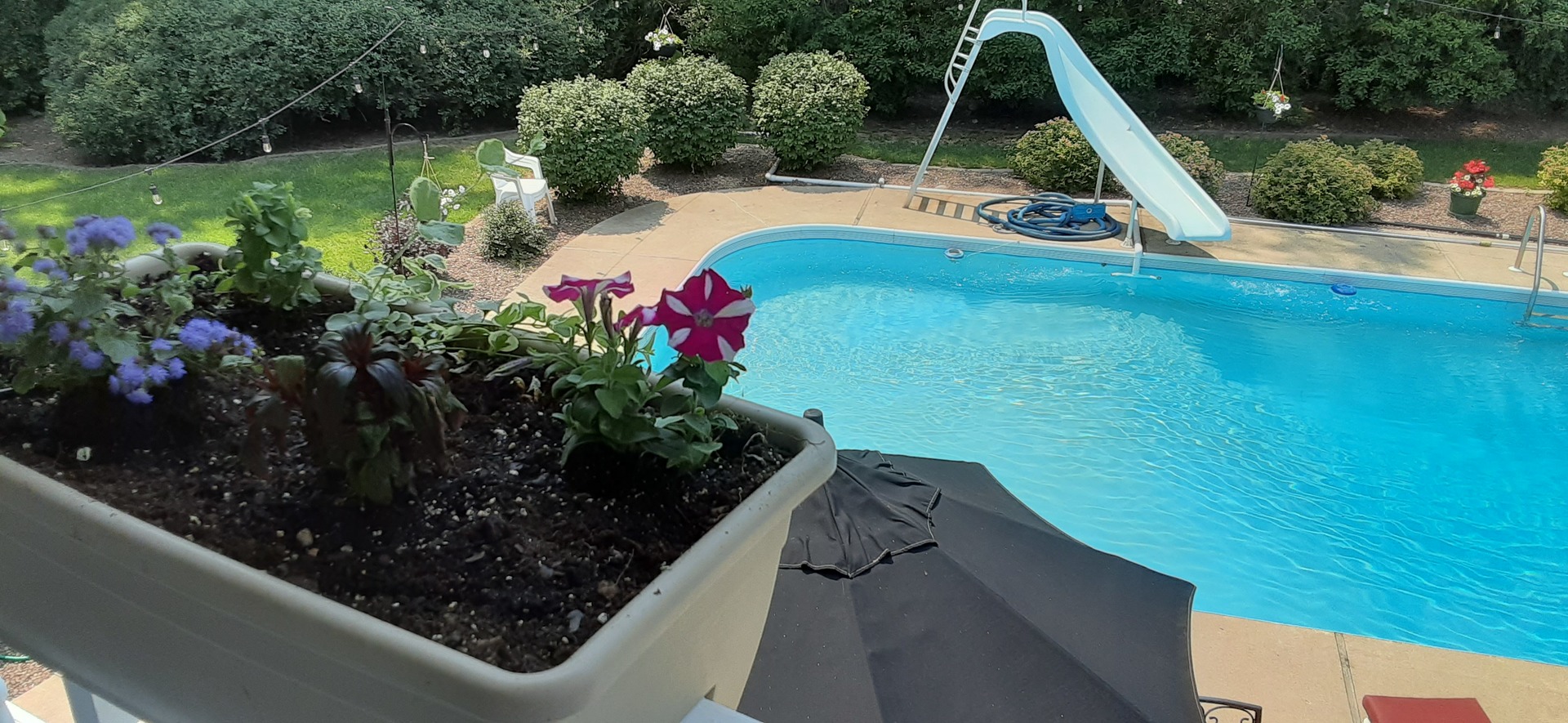 16N560 Sumter Drive Dundee, IL 60118 - Photo 6 of 49 a view of a garden with plants