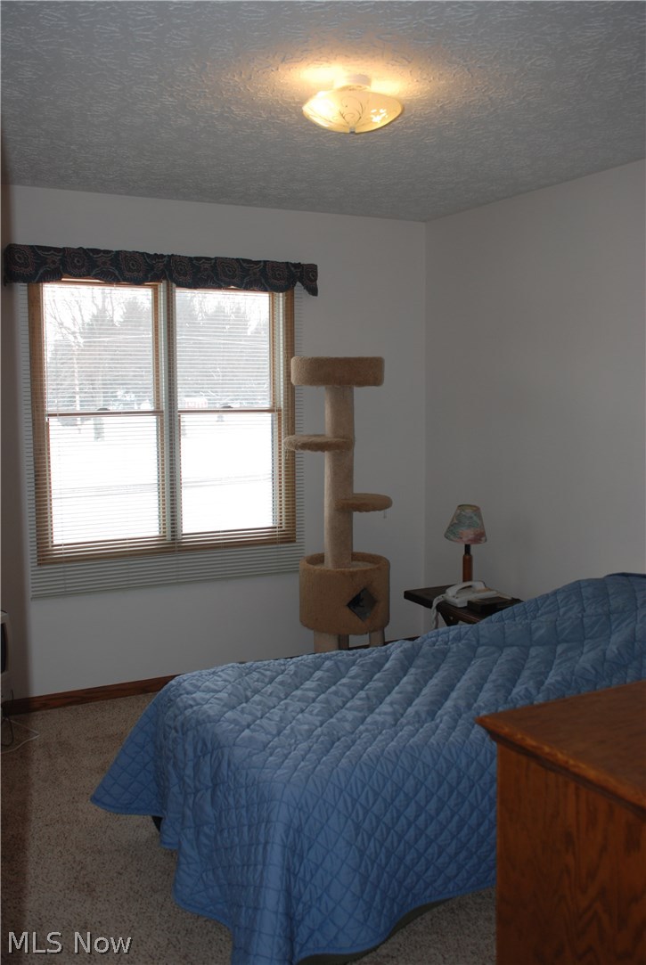 19086 Edwards Road Doylestown, OH 44230 - Photo 7 of 9 Gallery Image 7