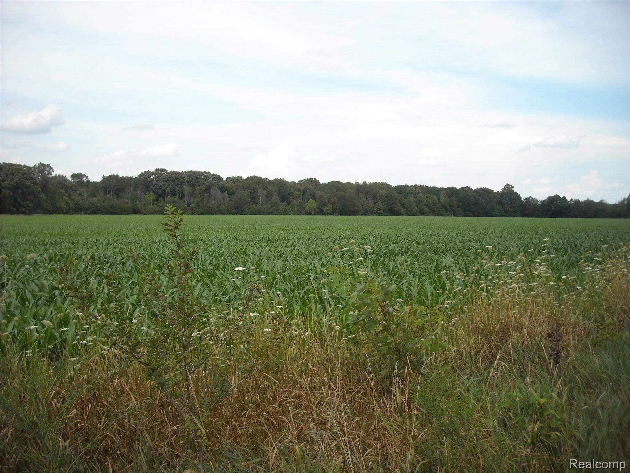 5123 East Mt Morris Road Mount Morris, MI 48458 - Photo 14 of 15 Back yard overlooking beautiful country side View 1