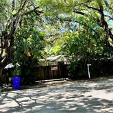 a view of a trees in the backyard of a house