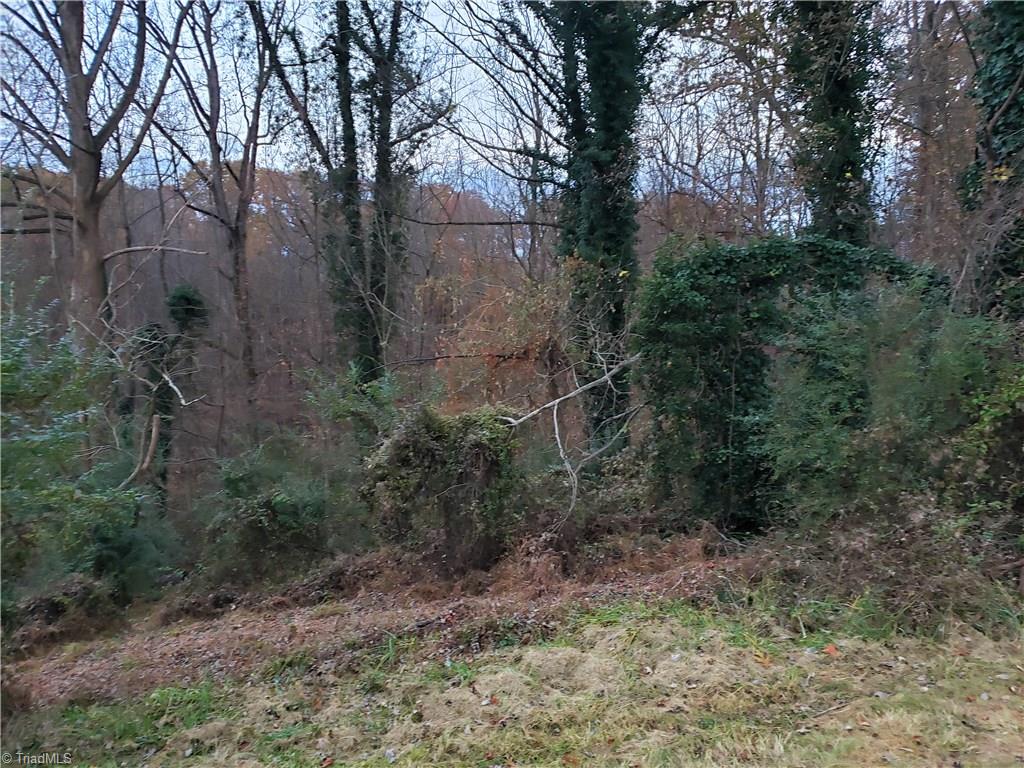 5445 Cedarbrook Road Jonesville, NC 28642 - Photo 4 of 5 Gallery Image 4