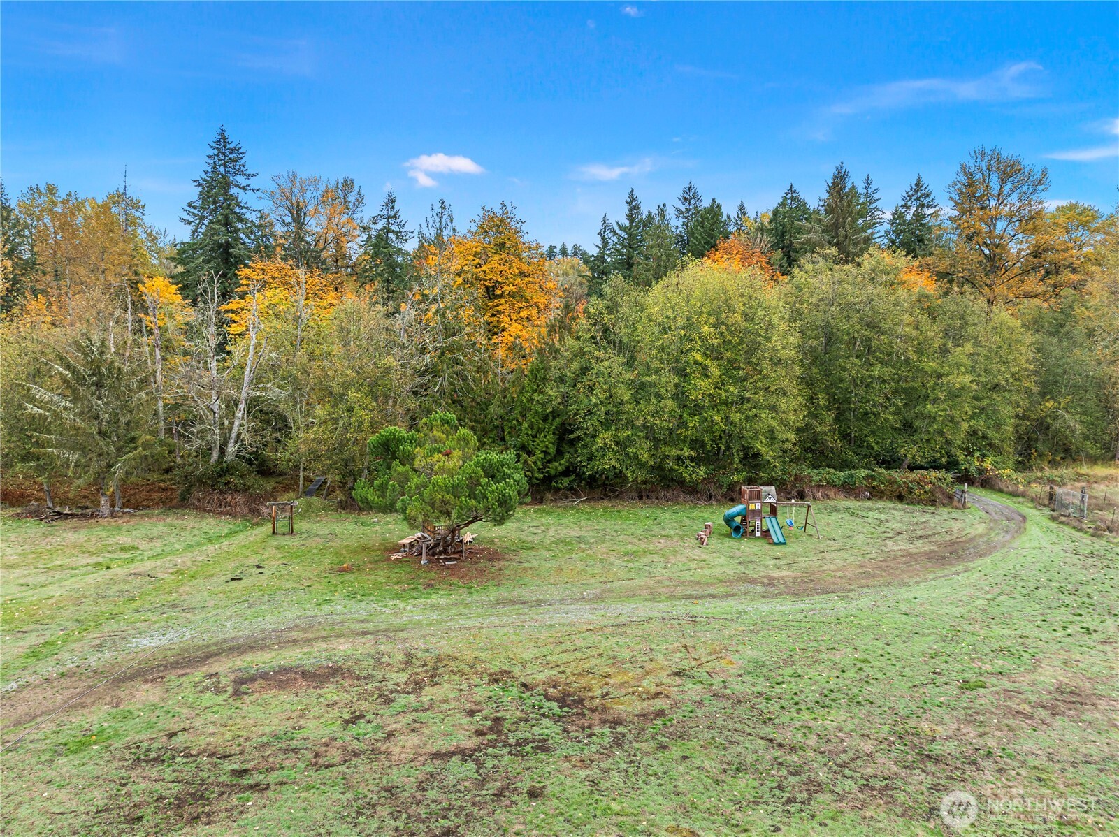 26707 Orville Road East Orting, WA 98360 - Photo 32 of 36 a view of outdoor space with trees all around