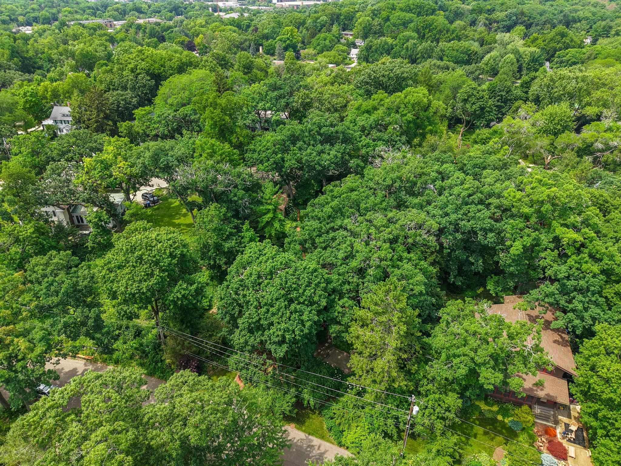 1210 Sweetbriar Road Madison, WI 53705 - Photo 79 of 86