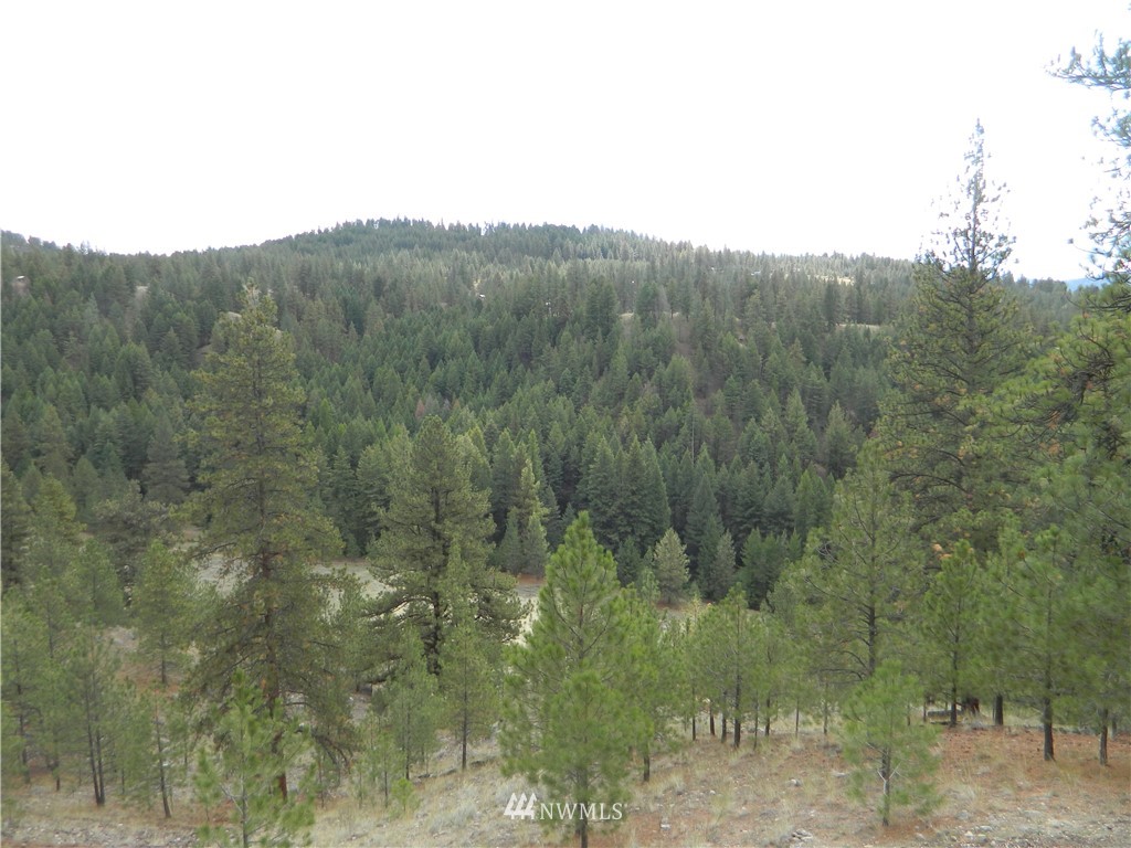 212 Cape Labelle Road Tonasket, WA 98855 - Photo 24 of 31