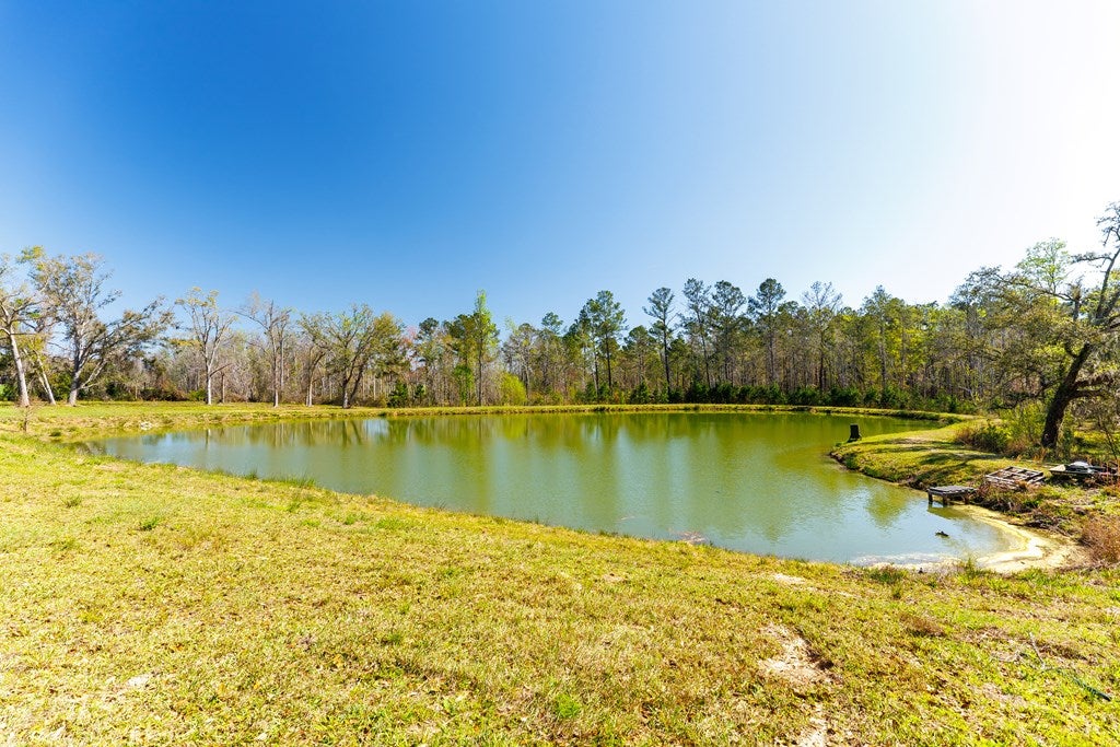 92 Purvis Lane Naylor, GA 31641 - Photo 64 of 80 Gallery Image 64