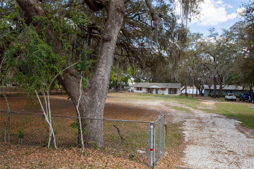 5921 County Road 352 Keystone Heights, FL 32656 - Photo 3 of 73 a view of a house with large trees