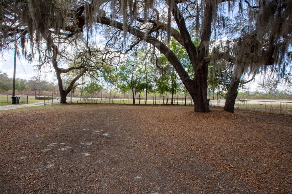 5921 County Road 352 Keystone Heights, FL 32656 - Photo 5 of 73 a view of outdoor space with trees