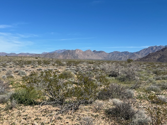 208-21-068 Arlington Road Yucca, AZ 86438 - Photo 4 of 18