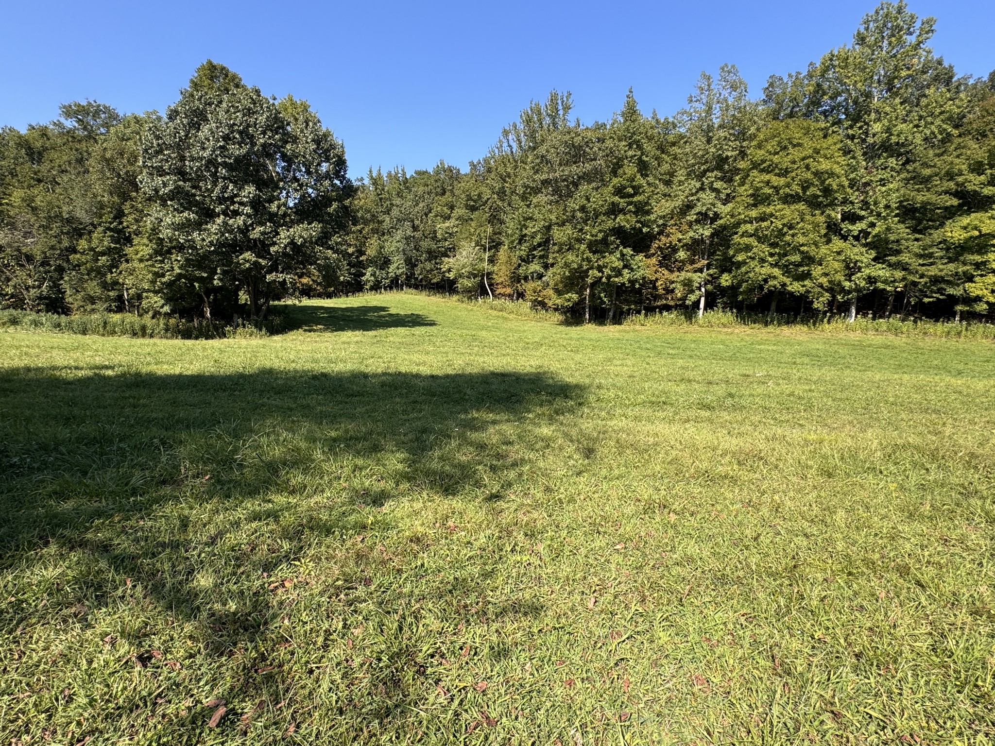 0 Upper Standing Rock Road Dover, TN 37058 - Photo 22 of 32 Gallery Image 22