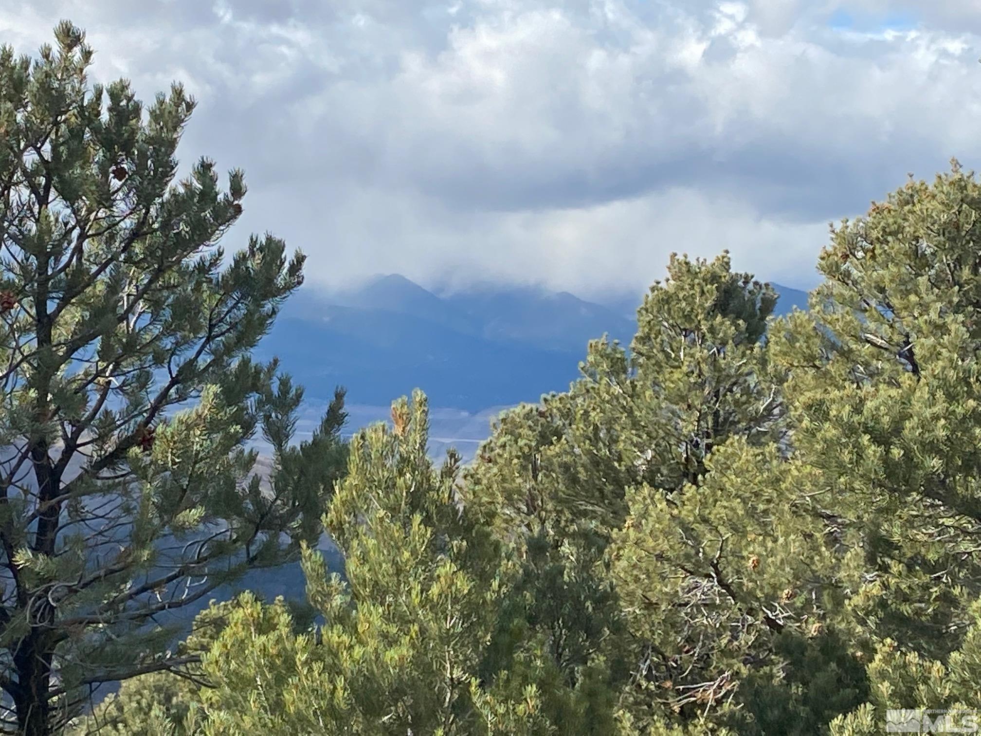 21227 Highland Road, Unit 17 Reno, NV 89521 - Photo 6 of 8 a view of a bunch of trees and bushes