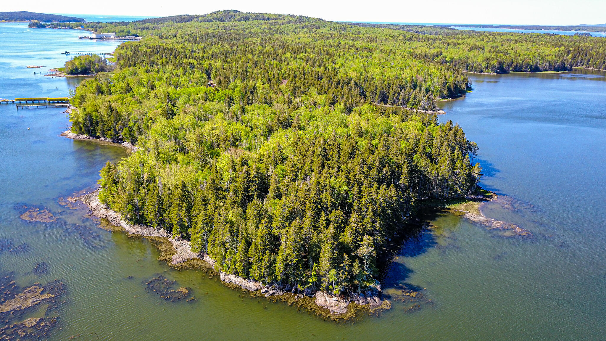 86 Back Shore Road Steuben, ME 04680 - Photo 2 of 24 Water's Edge