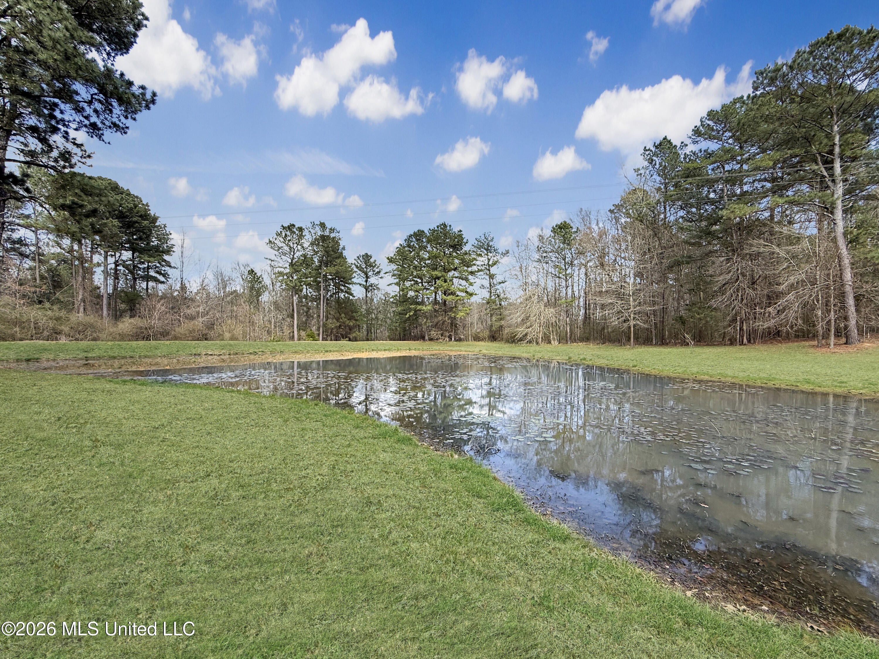 3076 Shiloh Road Pelahatchie, MS 39145 - Photo 29 of 45 4a6f8c80029ea07335de3b930d50a377986d3ca5